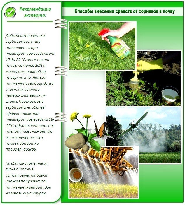 Пестициды для борьбы с сорняками