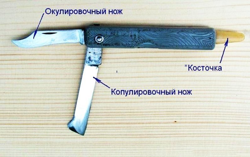 Редкие ножи ссср заря