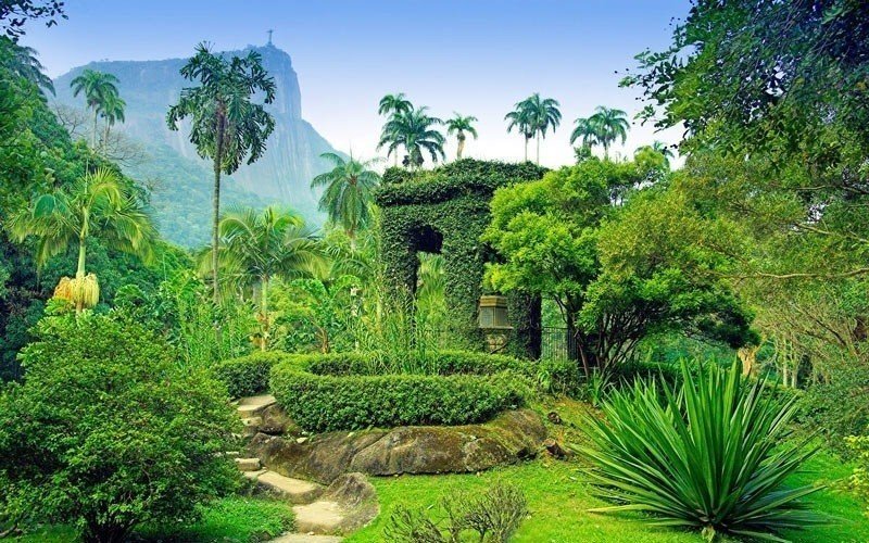 Ботанический сад в бразилии на острове чудес