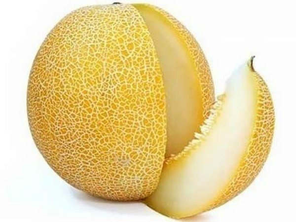 Плод дыни сорта Сладкий ананас