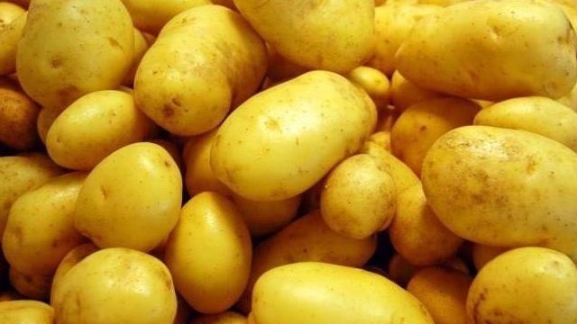 Глубина посадки картофеля