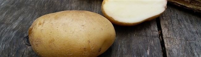 Картофель сорт фрителла