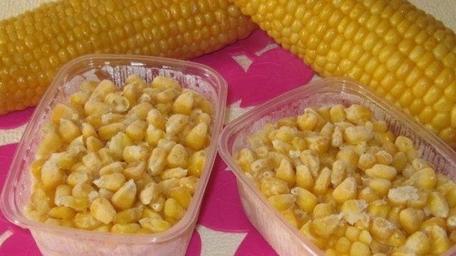 Как правильно собирать семена кукурузы