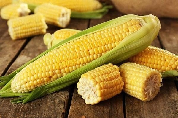 Кукуруза свежая в початках