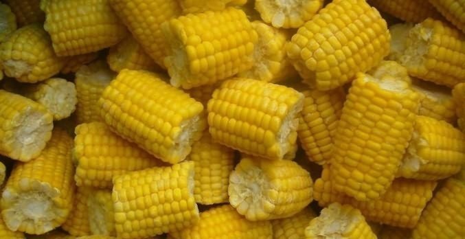 Карликовая кукуруза