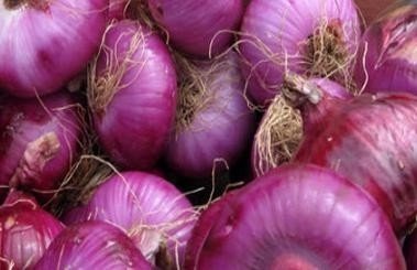 Фиолетовый лук сладкий семена лучшие сорта