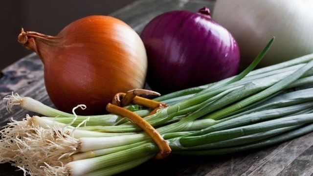 Салатный лук: сорта, особенности выращивания, применение в кулинарии