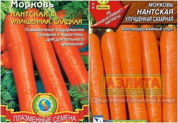Семена моркови Нантская улучшенная