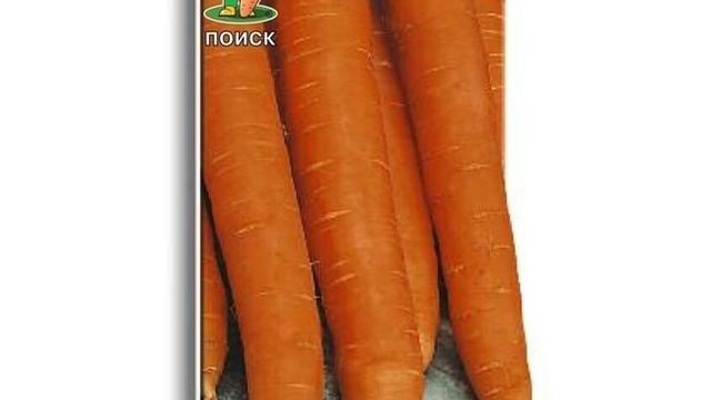 Сорт моркови Витаминная 6: фото, отзывы, описание, характеристики