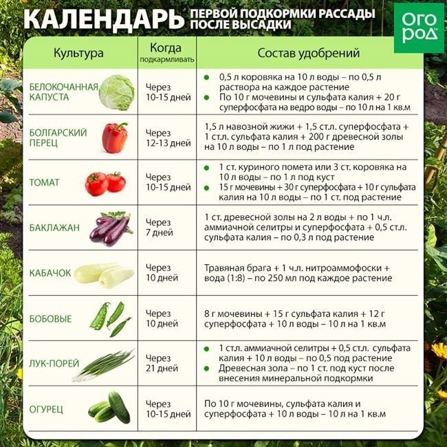 Удобрения для овощных культур в открытом грунте