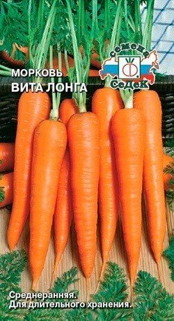 Гавриш морковь вита лонга