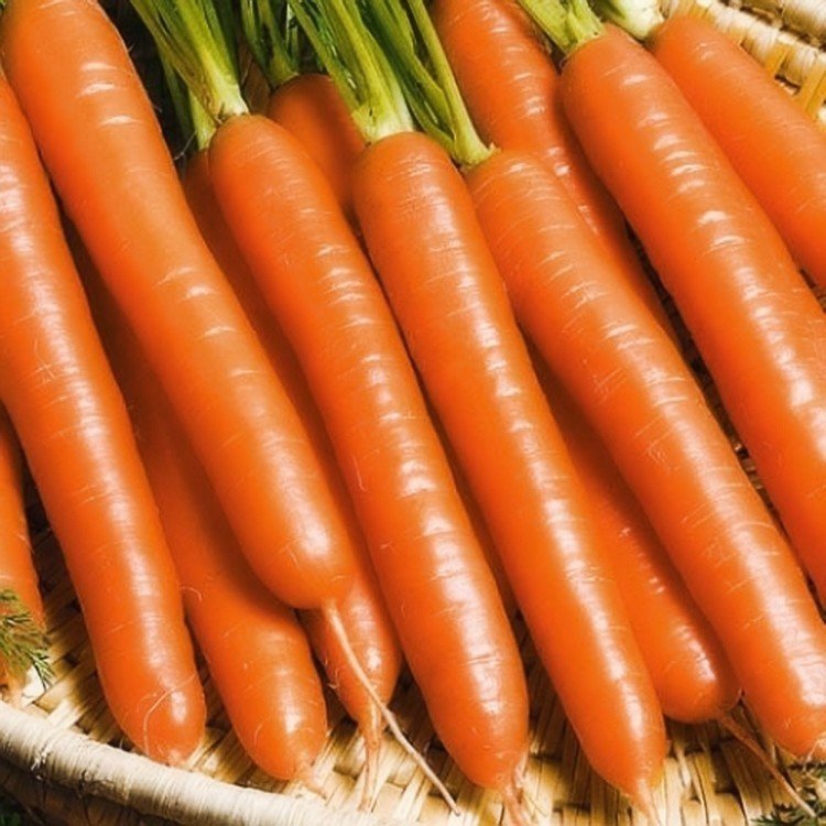 Морковь нантская семко
