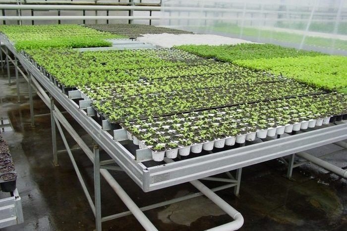 Гидропоника оборудование для выращивания овощей