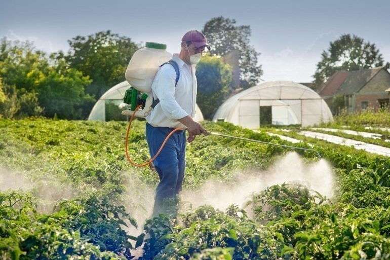 Безопасное обращение с гербицидами и пестицидами