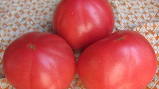 ТОП 20 пошаговых рецептов вяленых помидоров в домашних условиях на зиму
