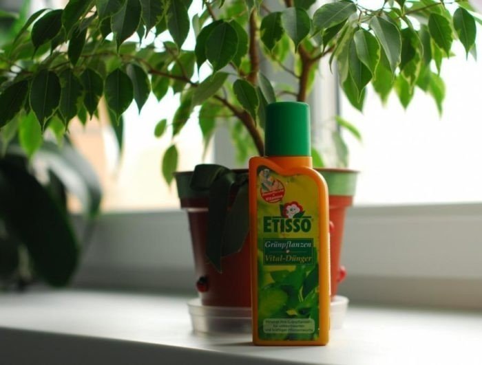 Жидкое удобрение для цветущих растений etisso
