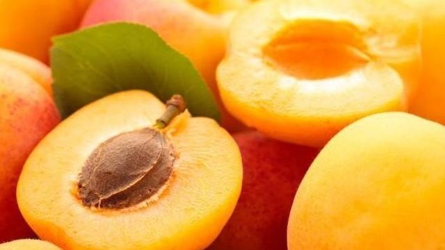Консервация абрикосов на зиму: особенности, рецепты приготовления и рекомендации