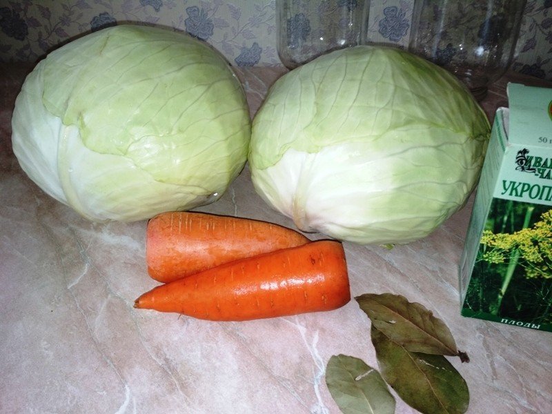 Морковка и капуста