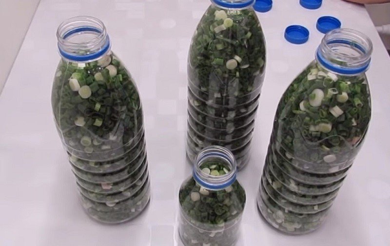 Заморозка зелени в пластиковых бутылках