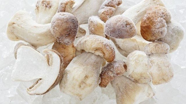 Как заморозить белые грибы на зиму в домашних условиях