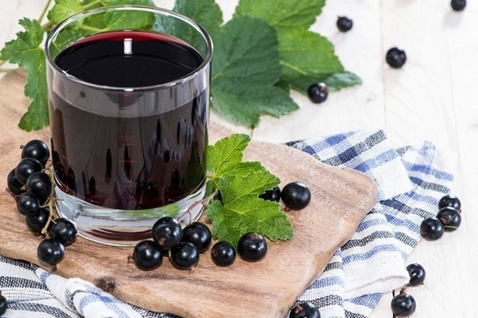 Сухое вино из черной смородины